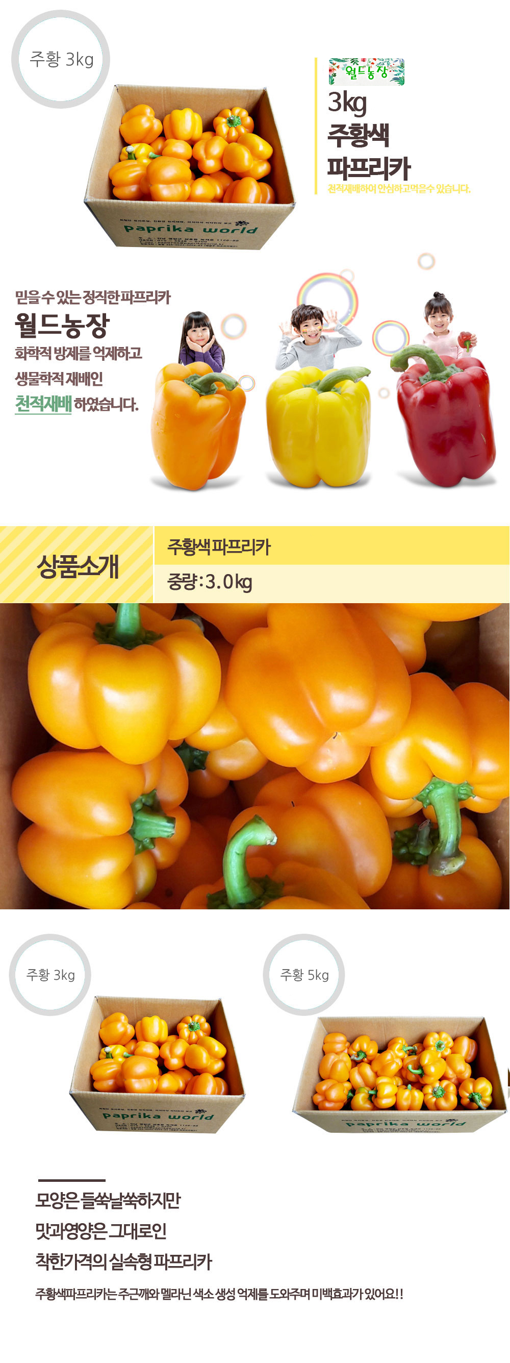 주황 파프리카 - 3kg ( 12~17 내외 ) > 파프리카 | ::: 월드농장 :::