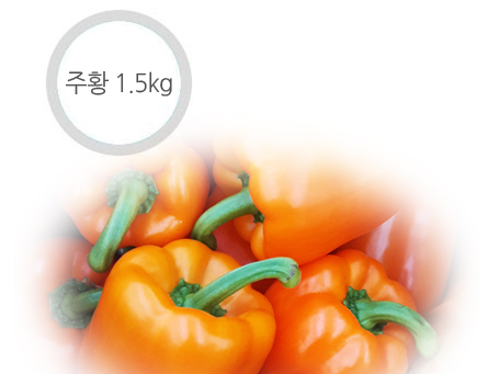 주황 파프리카 - 1.5kg ( 6~9개 ) 