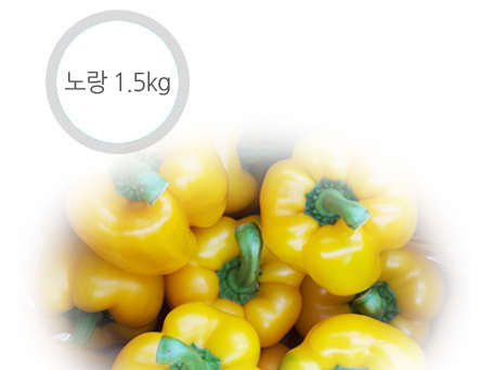 노랑 파프리카 - 1.5kg ( 6~9개 )