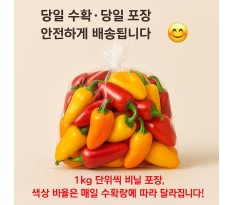 씨없는 미니파프리카  - 2kg