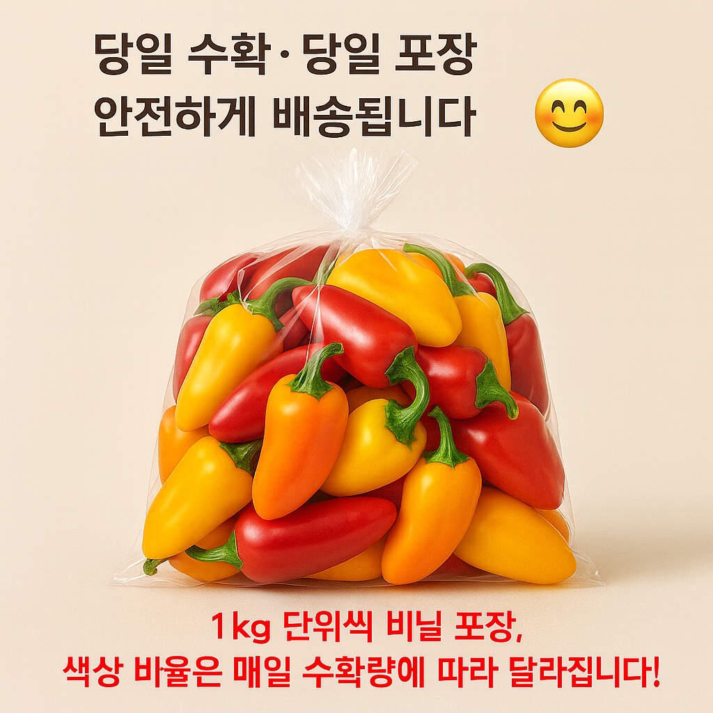 씨없는 미니파프리카 - 3kg