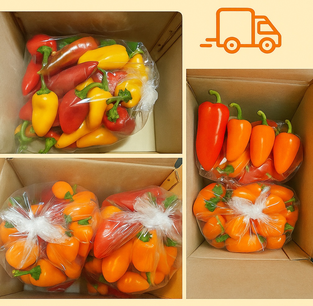 씨없는 미니파프리카 - 3kg