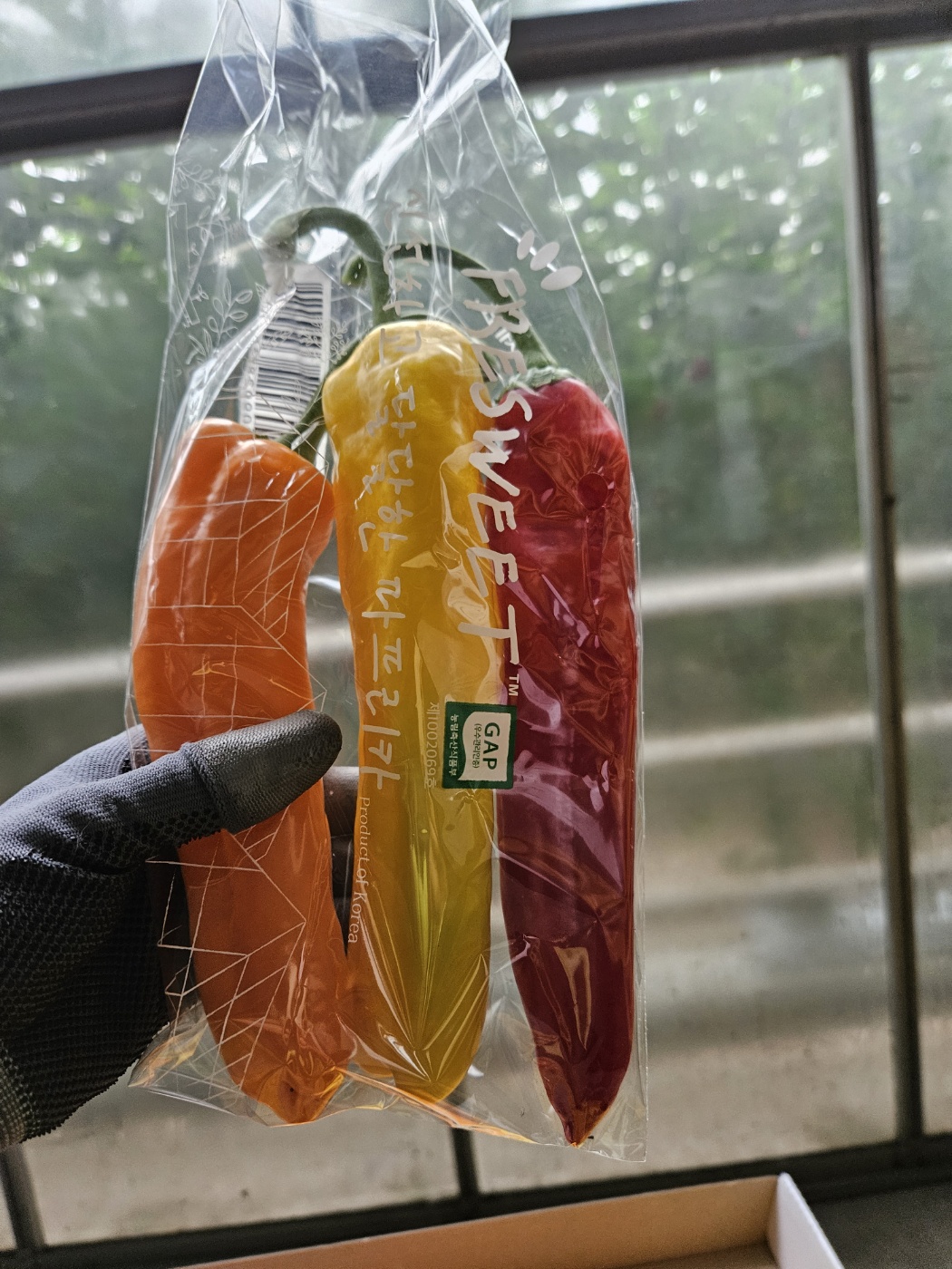 3종합 파프리카 선물세트 - 3kg