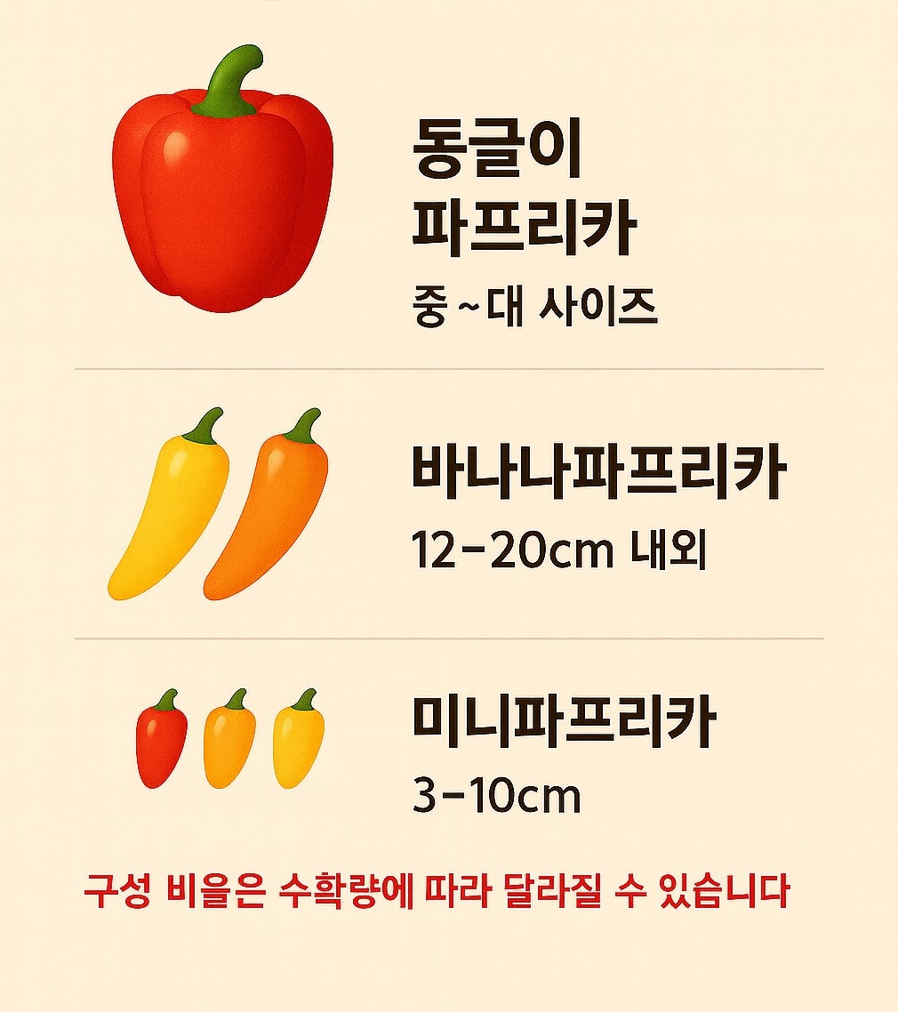 3종합 파프리카 선물세트 - 5kg