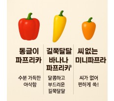 3종합 파프리카 선물세트 - 5kg